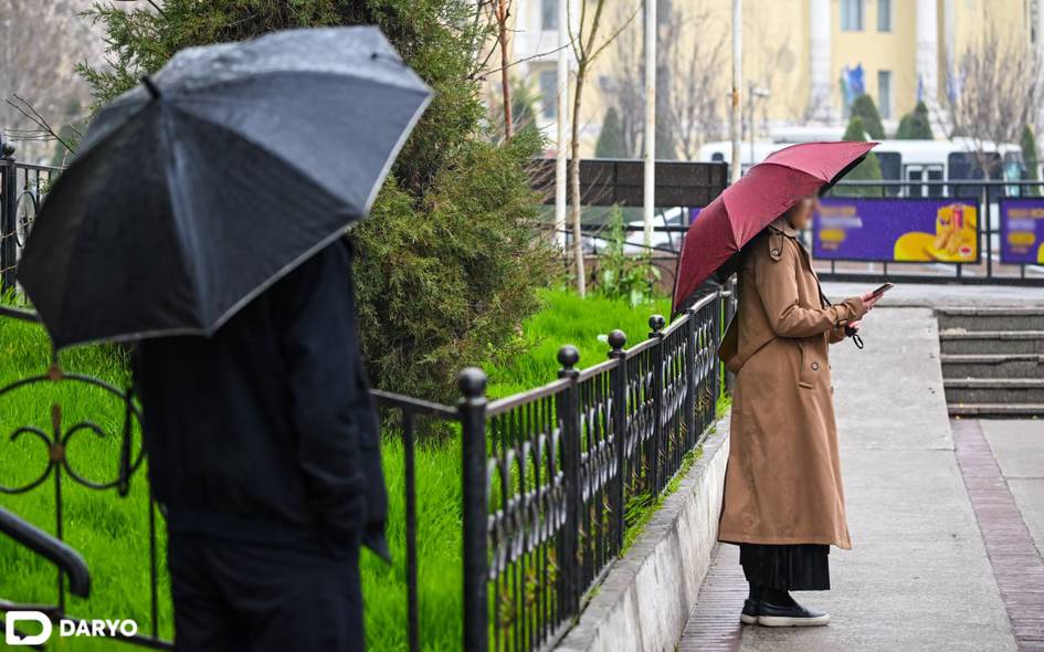 O‘zbekistonda 26-mart kuni ayrim joylarda yomg‘ir yog‘adi